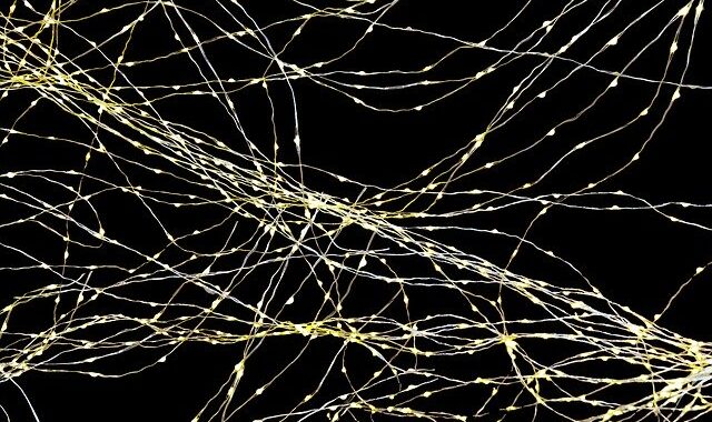 Stanford researchers develop artificial synapse that works with living cells