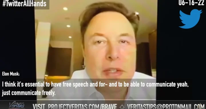 Elon Musk Wants Free Speech on Twitter, Should We Believe Him?